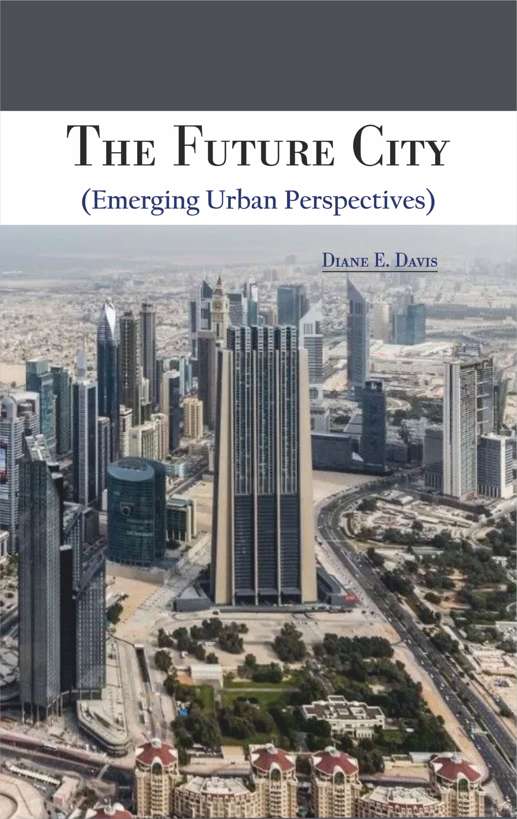 The Future City (Emerging Urban Perspectives)